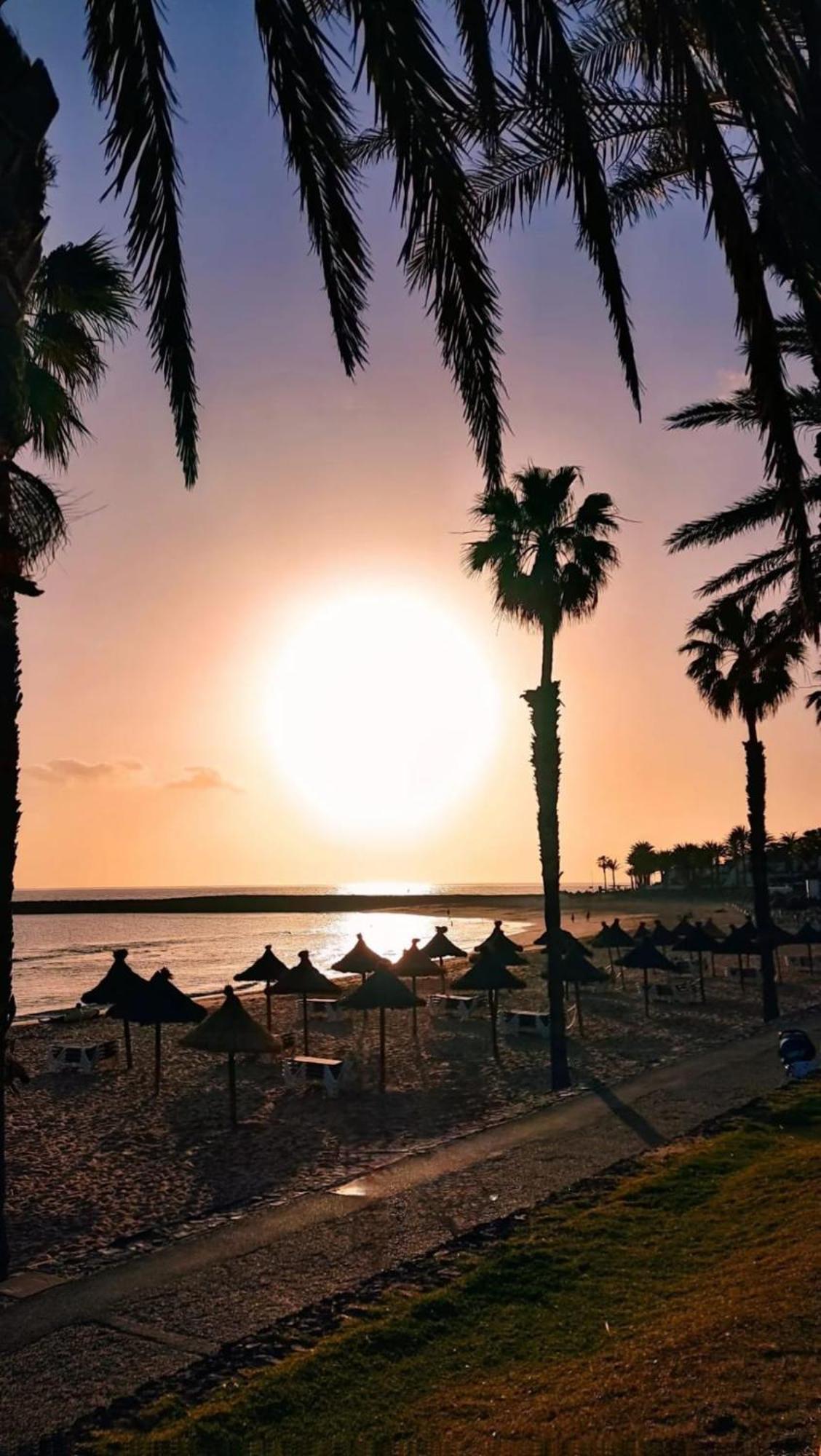 Wonderful White Appartament In Las Tortugas Playa de las Americas  Exterior photo